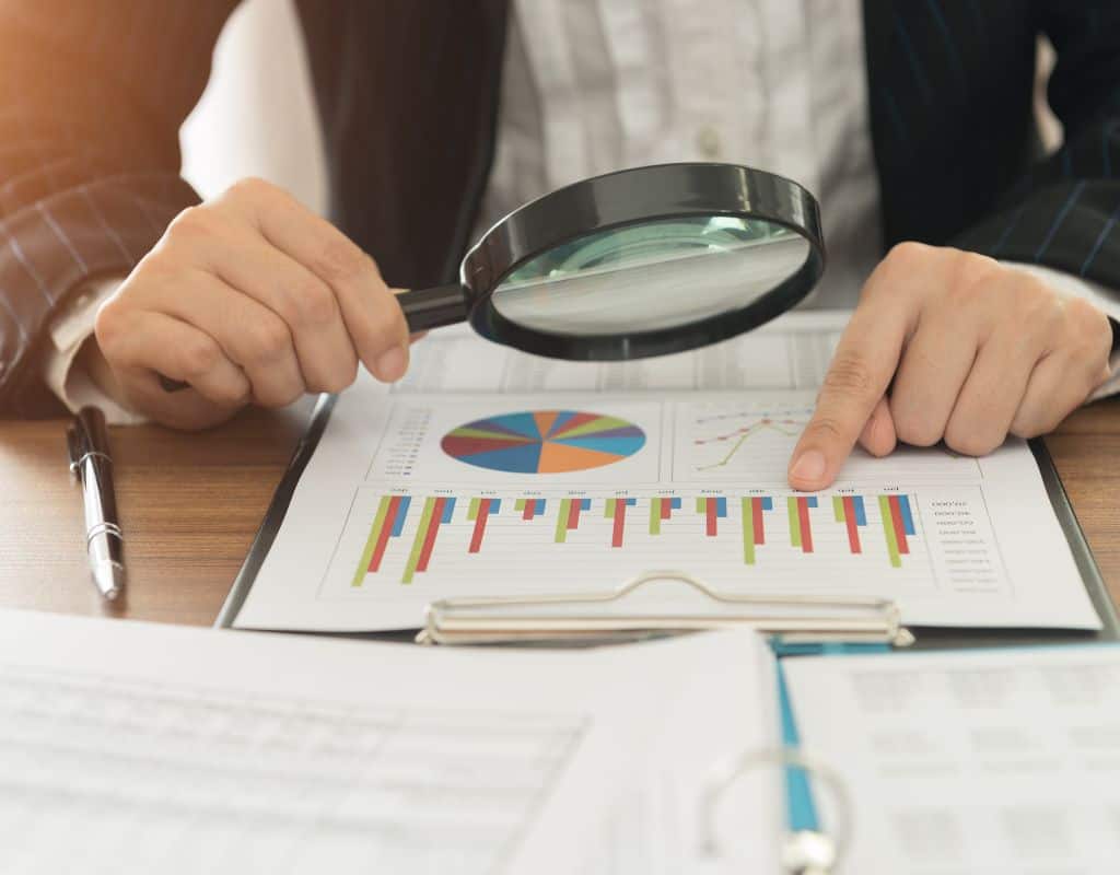 Person auditing official financial documents